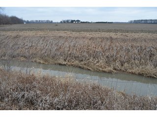 Property photo 57 - 175 Acres Offered in 5 Tracts - Tontogany, Ohio Farm Land Auction